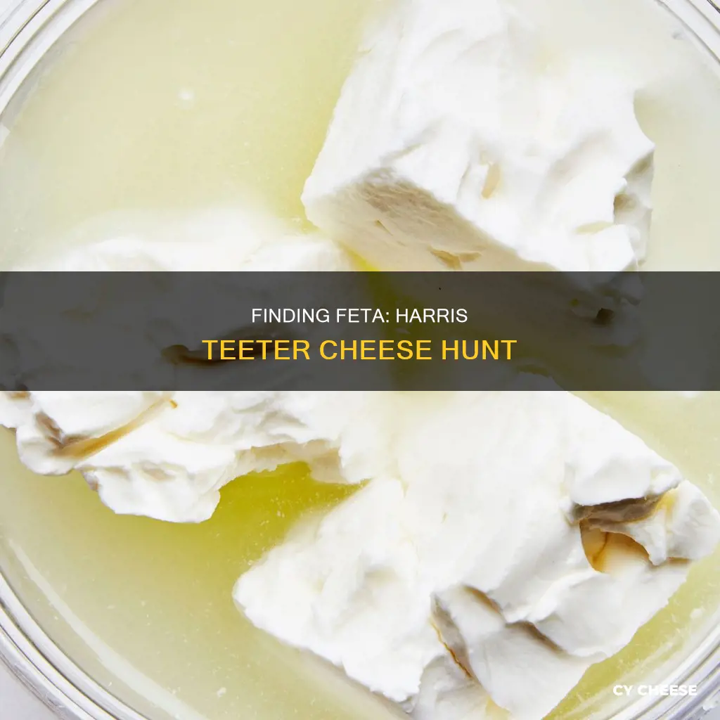 where is feta cheese in harris teeter