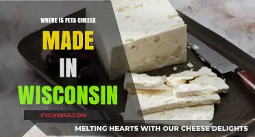 Feta's Wisconsin Origin: A Cheesy Adventure