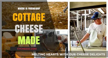 Discovering the Origin: Where is Friendship Cottage Cheese Made?