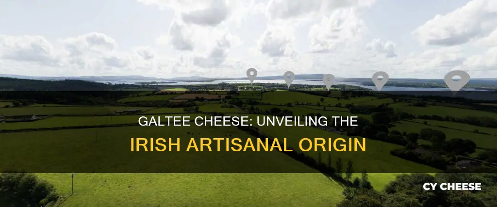 where is galtee cheese made