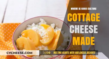 Discovering the Origins of Good Culture Cottage Cheese: A Tasty Journey