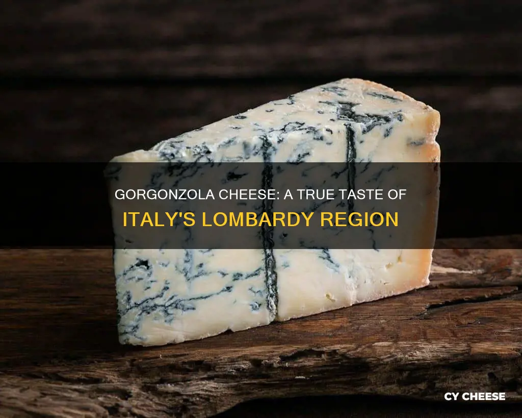 where is gorgonzola cheese made