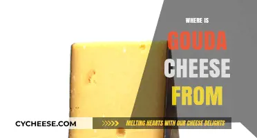 Exploring the Origins of Gouda Cheese: A Dutch Culinary Treasure