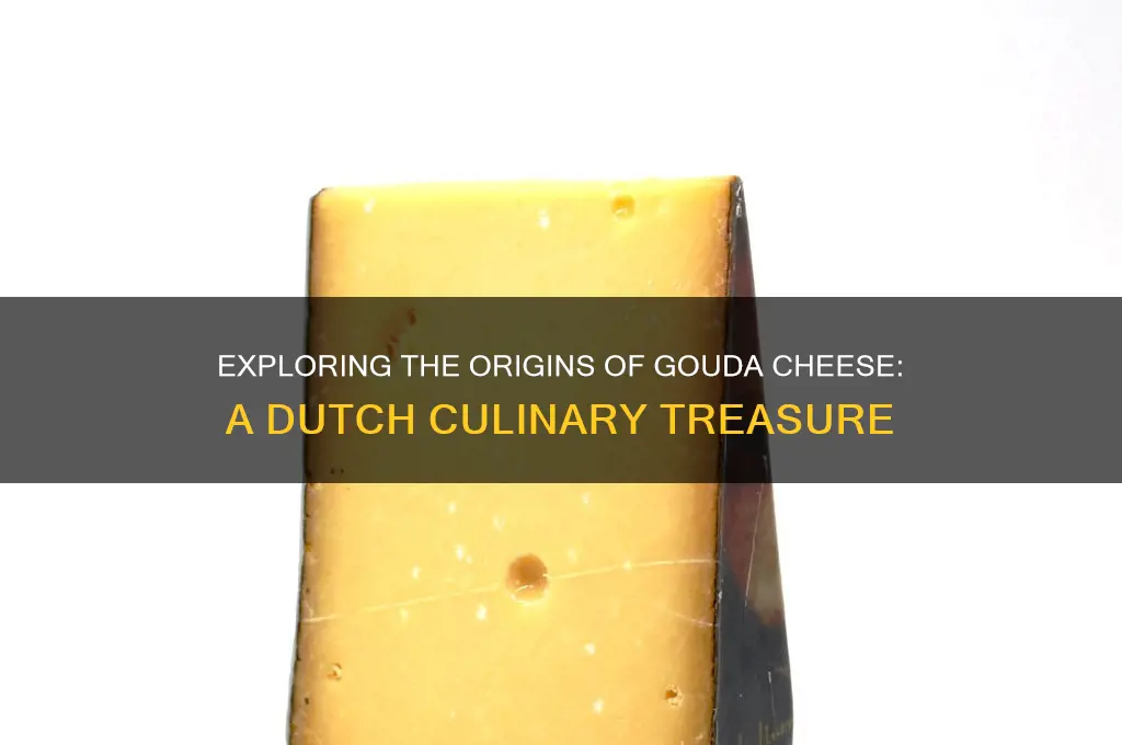 where is gouda cheese from