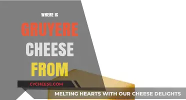Exploring Gruyère Cheese Origins: A Swiss Culinary Heritage Unveiled