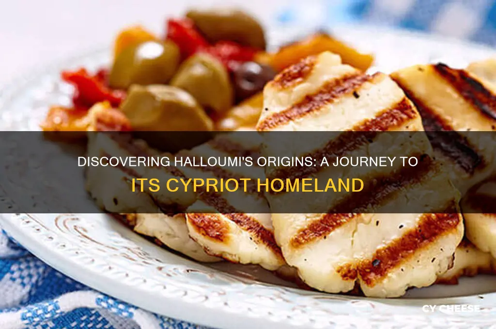 where is halloumi cheese from