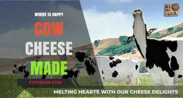 Happy Cow Cheese: A Journey to the Source