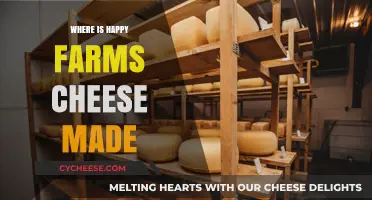 Happy Farms Cheese: Unveiling the Origin of Deliciousness