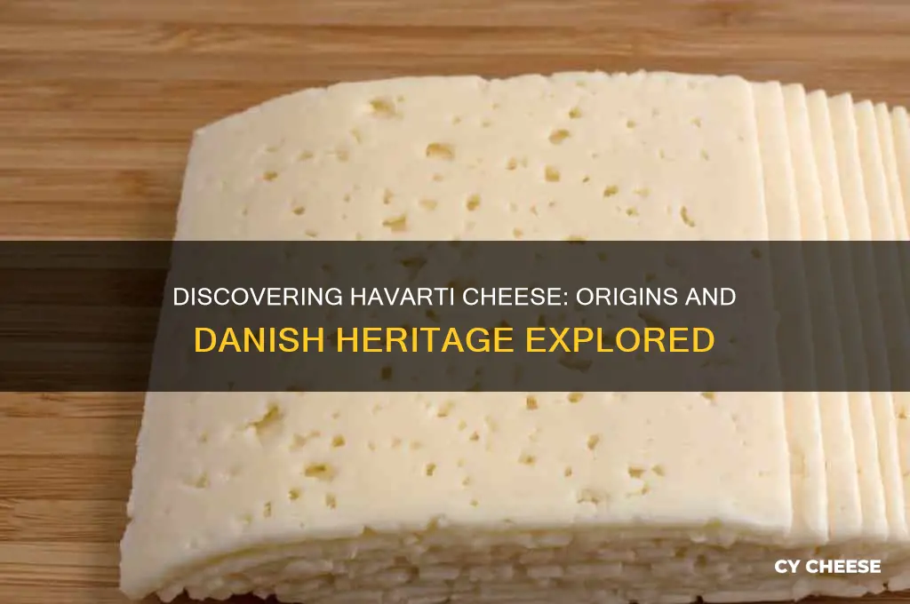 where is havarti cheese from