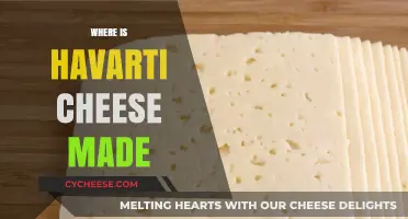 The Origin of Havarti: A Dairy Journey