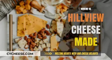 Hillview Cheese: Unveiling the Origin of This Delicious Treat