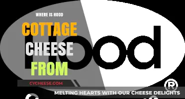 Discovering the Origins of Hood Cottage Cheese: A Dairy Journey