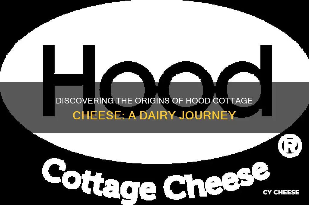 where is hood cottage cheese from