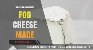 Unveiling the Origin: Humboldt Fog's Cheesy Journey