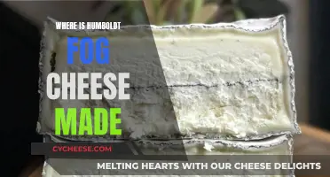 Humboldt Fog Cheese: A Taste of Northern California