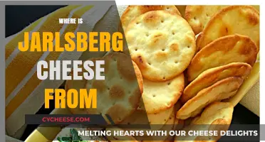Jarlsberg Cheese Origins: Unveiling Norway's Famous Dairy Delight