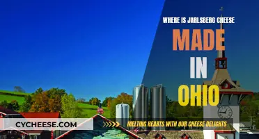Ohio's Jarlsberg Cheese: A Tasty Local Treat