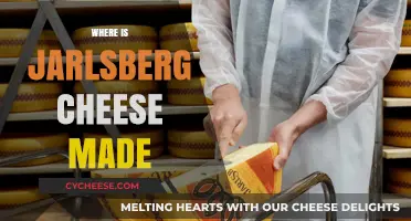 Jarlsberg's Origin: Unveiling the Danish Cheese's True Home