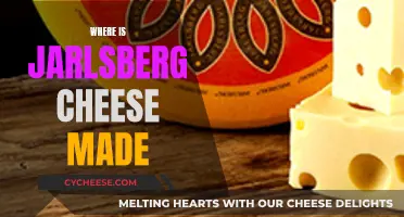 The Making of Jarlsberg Cheese: A Norwegian Specialty