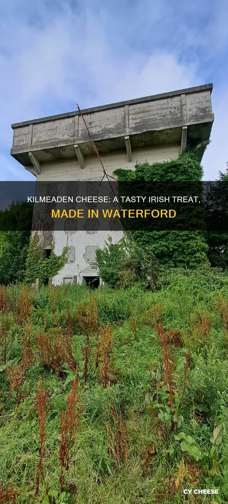 where is kilmeaden cheese made