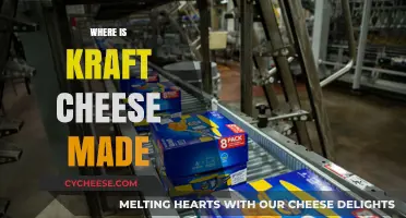 Kraft Cheese: Unveiling the Origin of a Classic American Brand