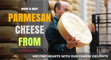 Kraft Parmesan Cheese: Where Does It Come From?