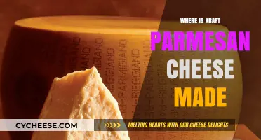 Kraft Parmesan's Origin: A Journey to the Cheese Capital