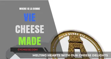 The Art of Cheese: Unveiling La Bonne Vie's Origin