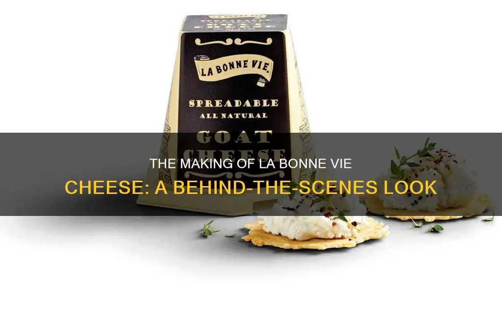 where is la bonne vie cheese made