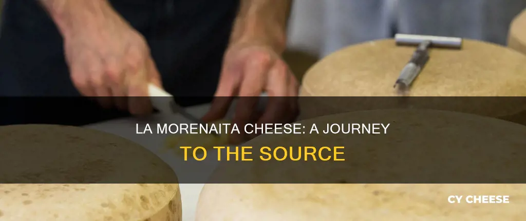 where is la morenita cheese made