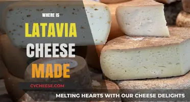 Latavia Cheese: Unveiling the Secrets of its Origin