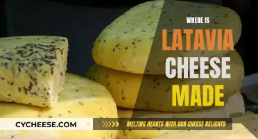 Latavia Cheese: A Tasty Tour of Its Origins