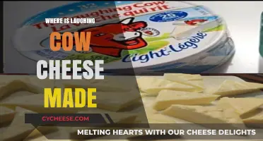 The Origin of Laughing Cow: A Cheesy Journey