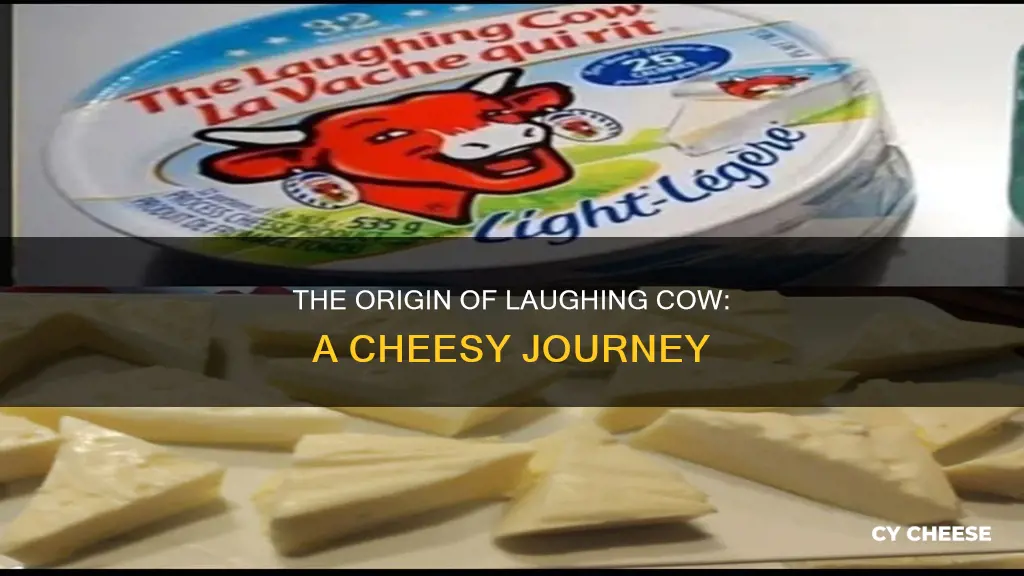 where is laughing cow cheese made