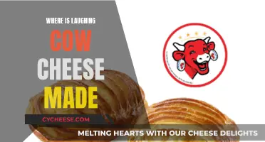 The Laughing Cow Cheese: A French Delight