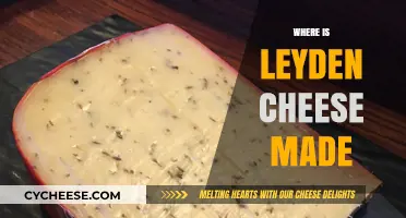 Unveiling the Origin: Where Leyden Cheese is Crafted