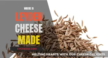 Leyden Cheese: A Dutch Delicacy and Its Origins