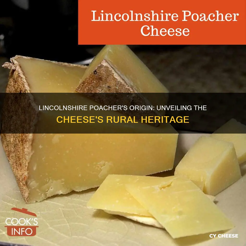 where is lincolnshire poacher cheese made