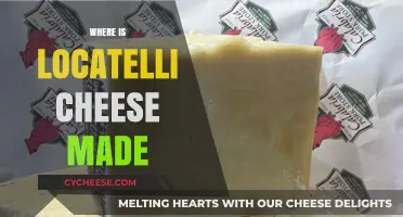 The Origin of Locatelli Cheese: A Regional Journey