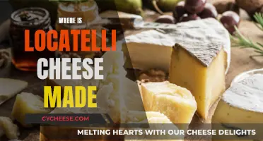 Locatelli Cheese: A True Taste of Italy