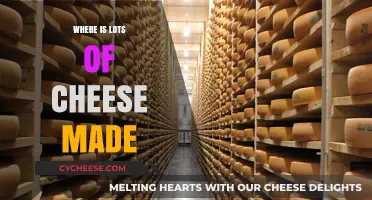 The Global Cheese Capital: A Journey to the Top Producers