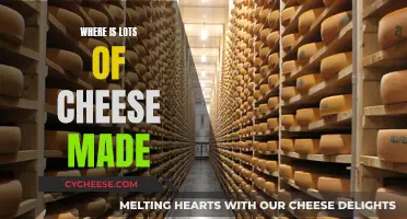 Cheese-Making Hotspots: Where the Dairy Magic Happens