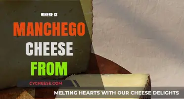 Discovering Manchego Cheese: Origins, Tradition, and Spanish Heritage