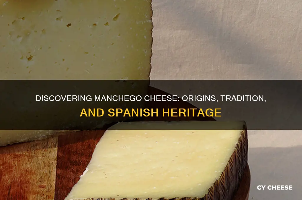 where is manchego cheese from