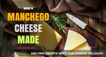 Manchego's Origin: Unveiling Spain's Iconic Cheese-Making Region