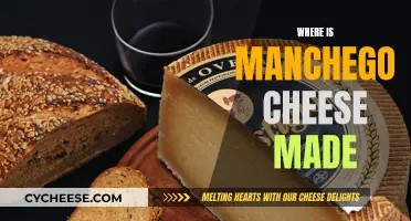 The Authentic Manchego Cheese: Made in La Mancha