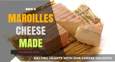 Maroilles Cheese: Unveiling the Secrets of its French Origin