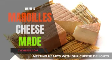 The Making of Maroilles Cheese: A French Delicacy