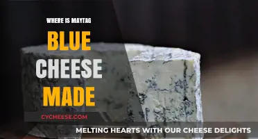 Maytag Blue Cheese: Unveiling the Origin of a Classic American Cheese