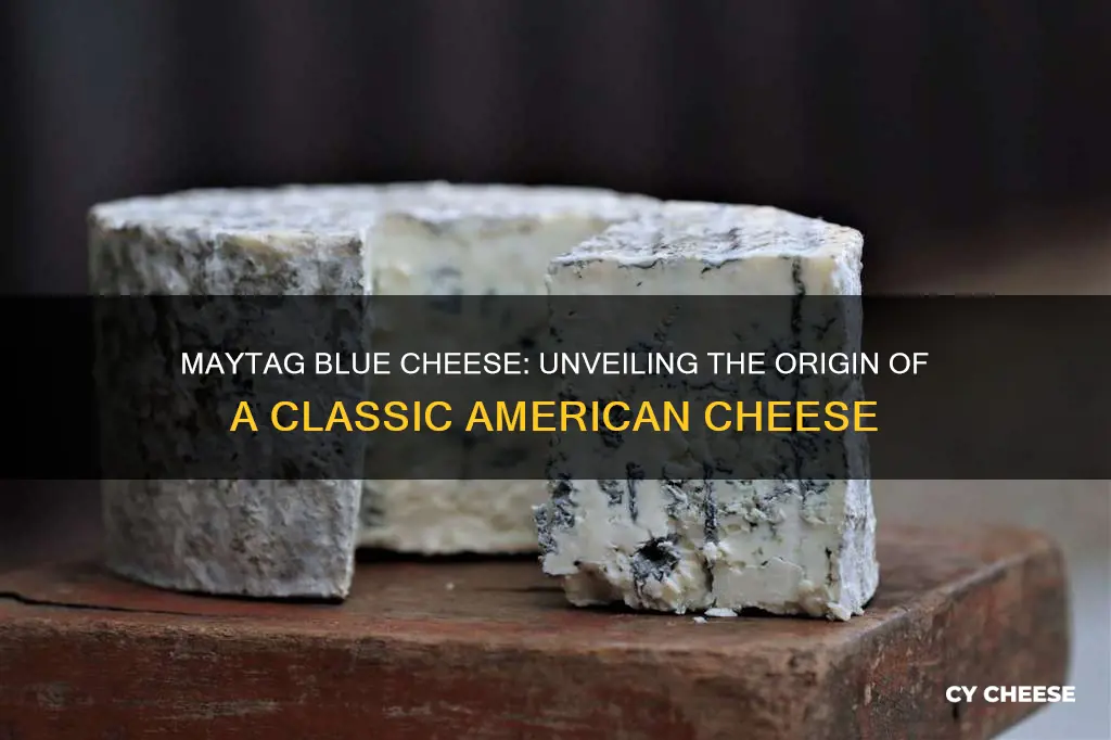 where is maytag blue cheese made